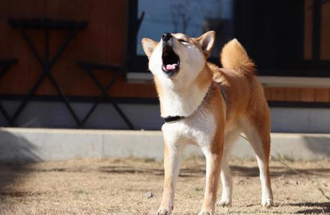 bandicam 2024-02-03 15-31-35-157