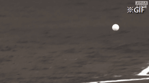 Honeycam 2023-07-12 18-23-27