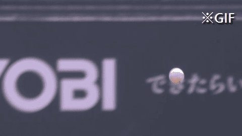 Honeycam 2019-05-12 15-11-24