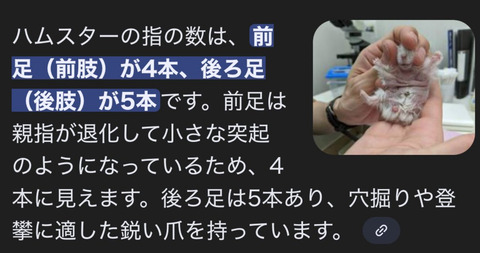 bandicam 2026-02-01 21-59-38-449