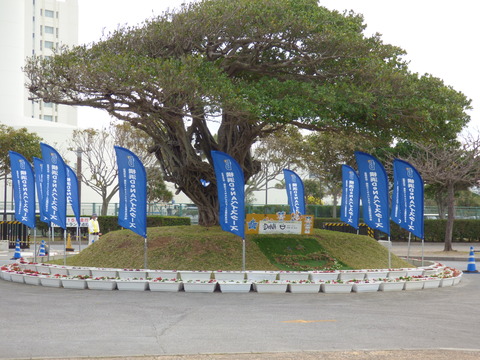 P1070408