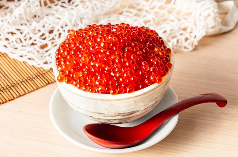 bandicam 2024-05-31 00-58-18-728