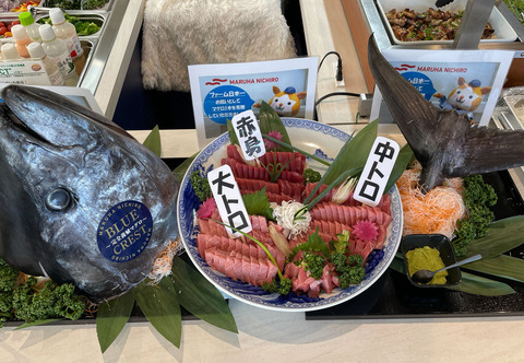 bandicam 2024-11-20 21-27-04-268