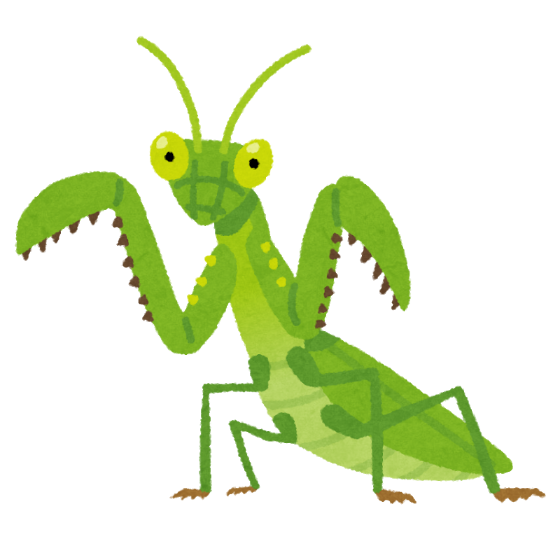 カマキリ 鋭い鎌があります 格好いいです 威嚇します この虫が昆虫界の王になれなかった理由 横浜denaベイスターズアンテナ カマキリ 鋭い鎌があります 格好いいです 威嚇します この虫が昆虫界の王になれなかった理由 横浜denaベイスターズアンテナ