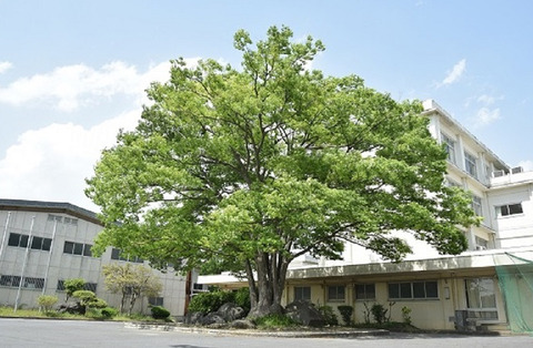 bandicam 2024-02-29 00-56-41-994