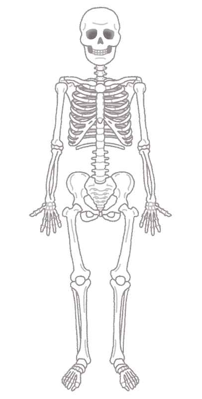 DeNA大和・牧・益子、人体骨格模型の前で自主トレーニング中ｗｗｗ