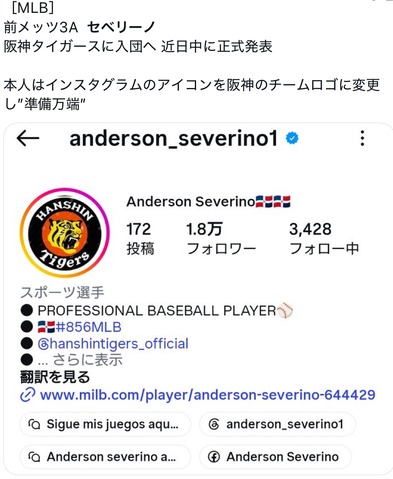 阪神入り決断のアンダーソン・セベリーノ、DeNA入団説が浮上のサムネイル
