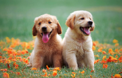 bandicam 2023-11-01 11-11-32-709