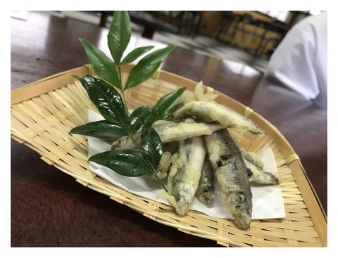 tanpin_koayu-tenpura