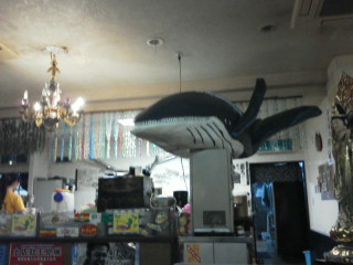 れストラン ゆず庵 高知県南国市 ツイてる ツイてる ありがとう