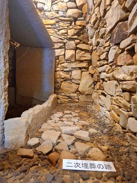 20260429_085538