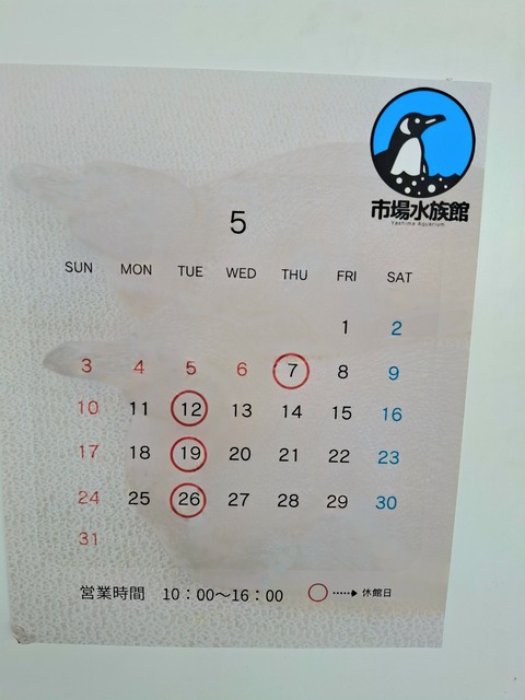 20260509_124042