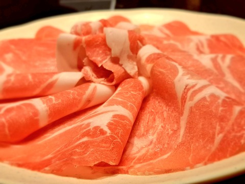 20260225_114736