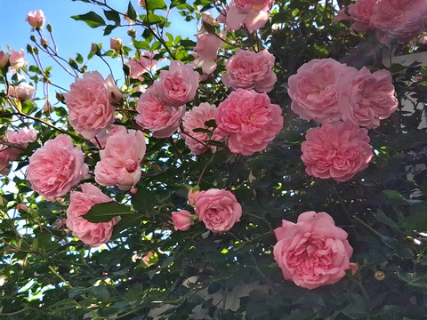 20260519_102713