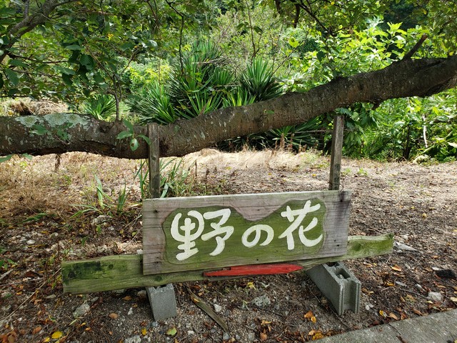 野の花 ののか 香川県小豆島町 ツイてる ツイてる ありがとう