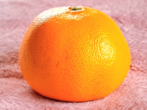 20260330_123252