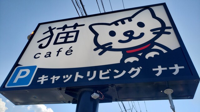 猫cafe キャットリビング ナナ Cat Living Nana 香川県宇多津町 ツイてる ツイてる ありがとう 猫cafe キャットリビング ナナ Cat Living Nana 香川県宇多津町 ツイてる ツイてる ありがとう