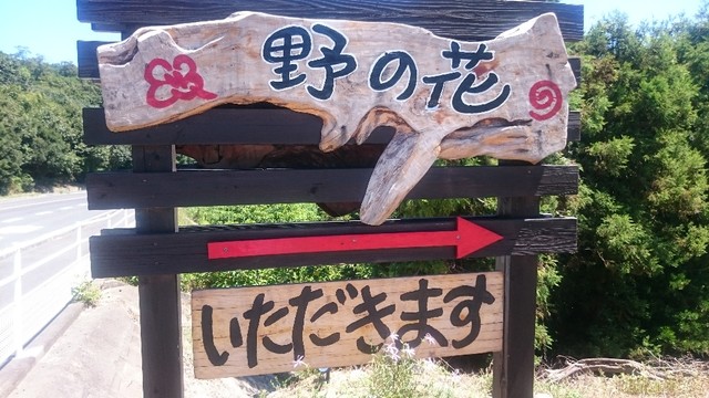 野の花 ののか 香川県小豆島町 ツイてる ツイてる ありがとう