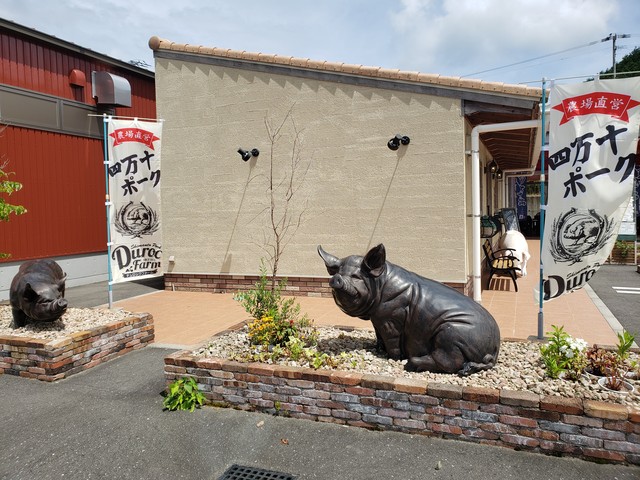 デュロックファーム加工直売所 高知県四万十町 ツイてる ツイてる ありがとう デュロックファーム加工直売所 高知県四万十町 ツイてる ツイてる ありがとう