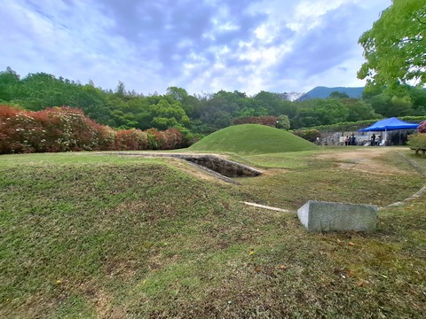 20260429_084042