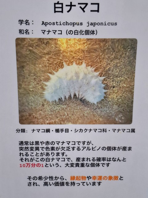 20260509_130806