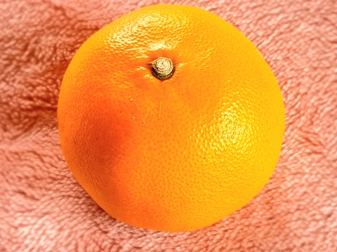 20260330_123308