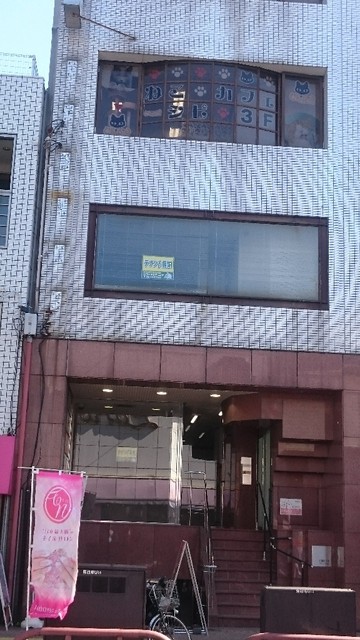 猫カフェ シピ Chipie 香川県高松市 ツイてる ツイてる ありがとう 猫カフェ シピ Chipie 香川県高松市 ツイてる ツイてる ありがとう