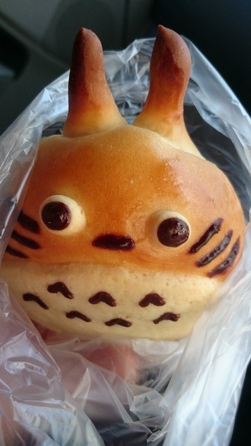 イメージ 5