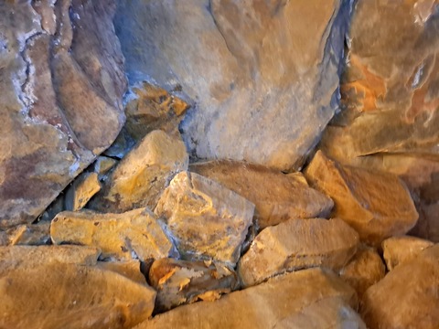 20260429_084842