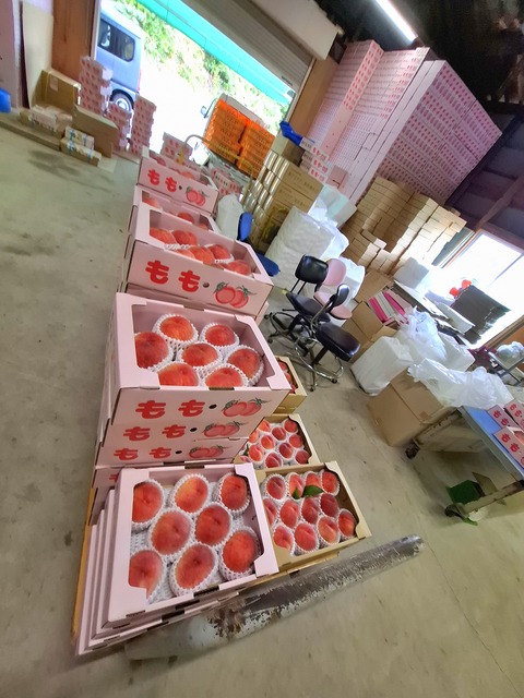 20260626_120201