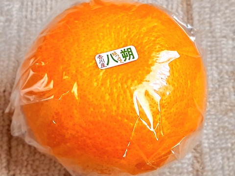 20260514_130652