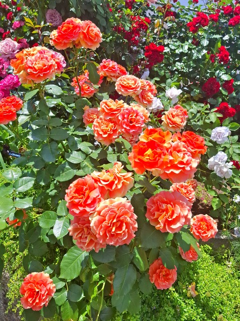 20260513_104751