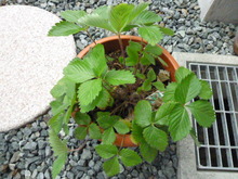 P1000861