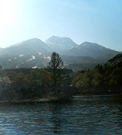 1d714132.jpg