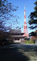 24a98289.jpg