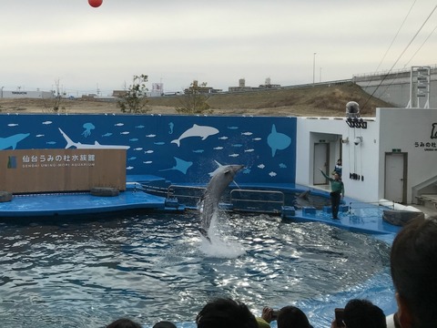 IMG_2067 - コピー