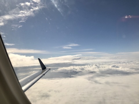 26C211E0-B62C-4E45-A912-81121F7FA874