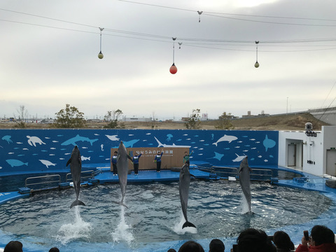IMG_2080 - コピー