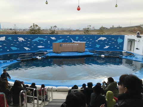 IMG_2063 - コピー