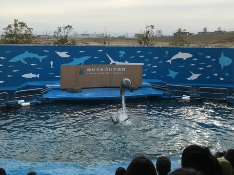 IMG_2068 - コピー