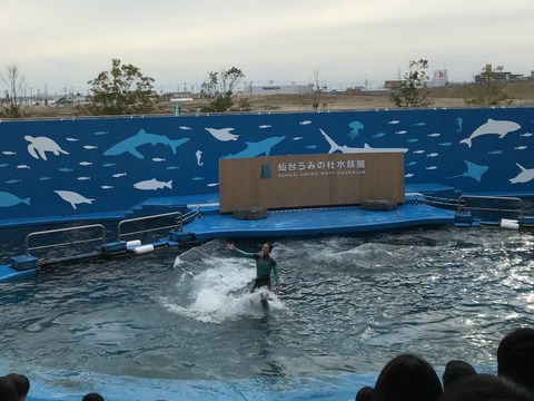 IMG_2066 - コピー