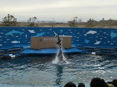 IMG_2069 - コピー