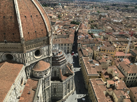 IMG_7855