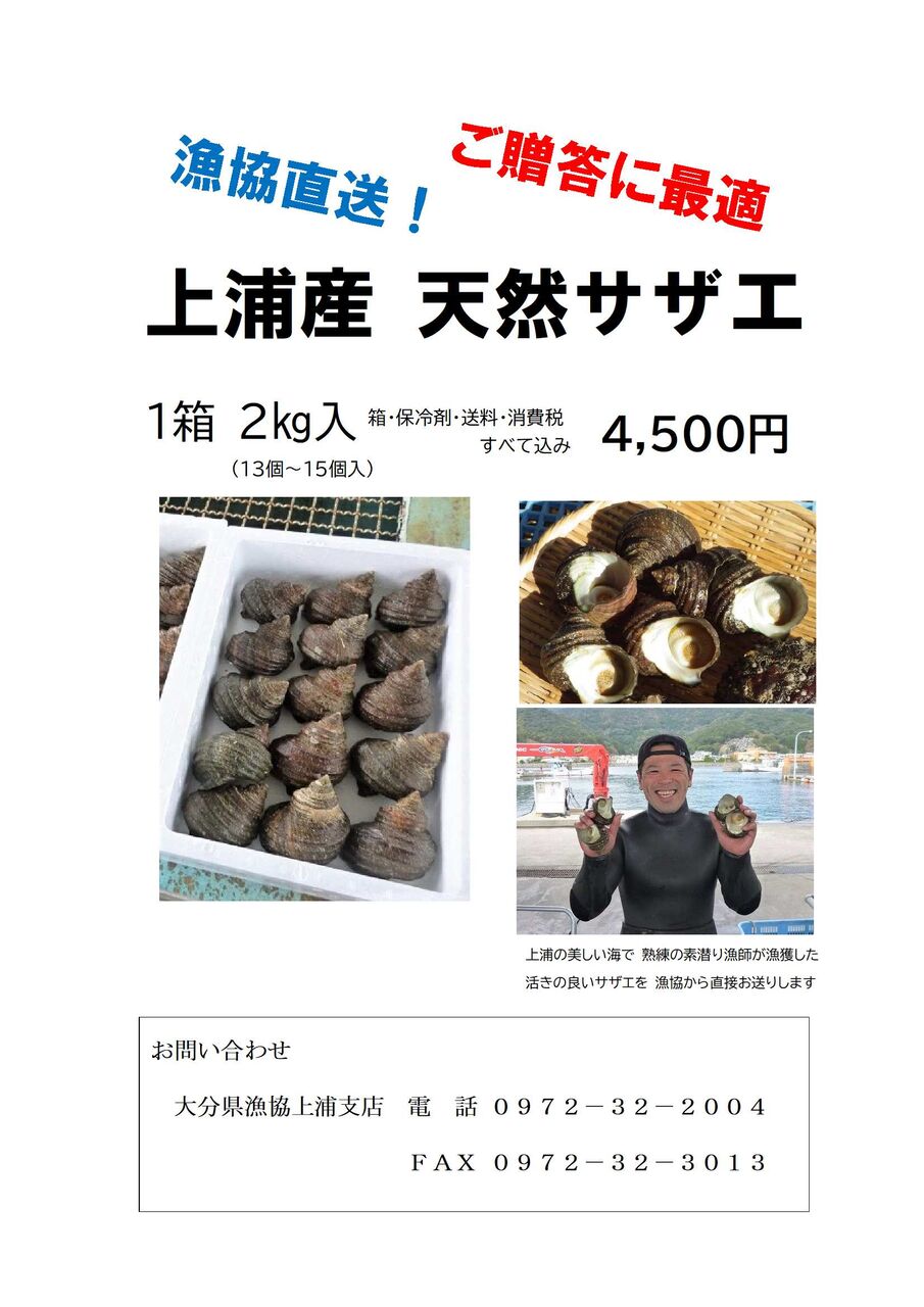 漁協直送 上浦産 天然サザエ販売 ふたみ通信 上浦地区漁業後継者協議会公式ブログ
