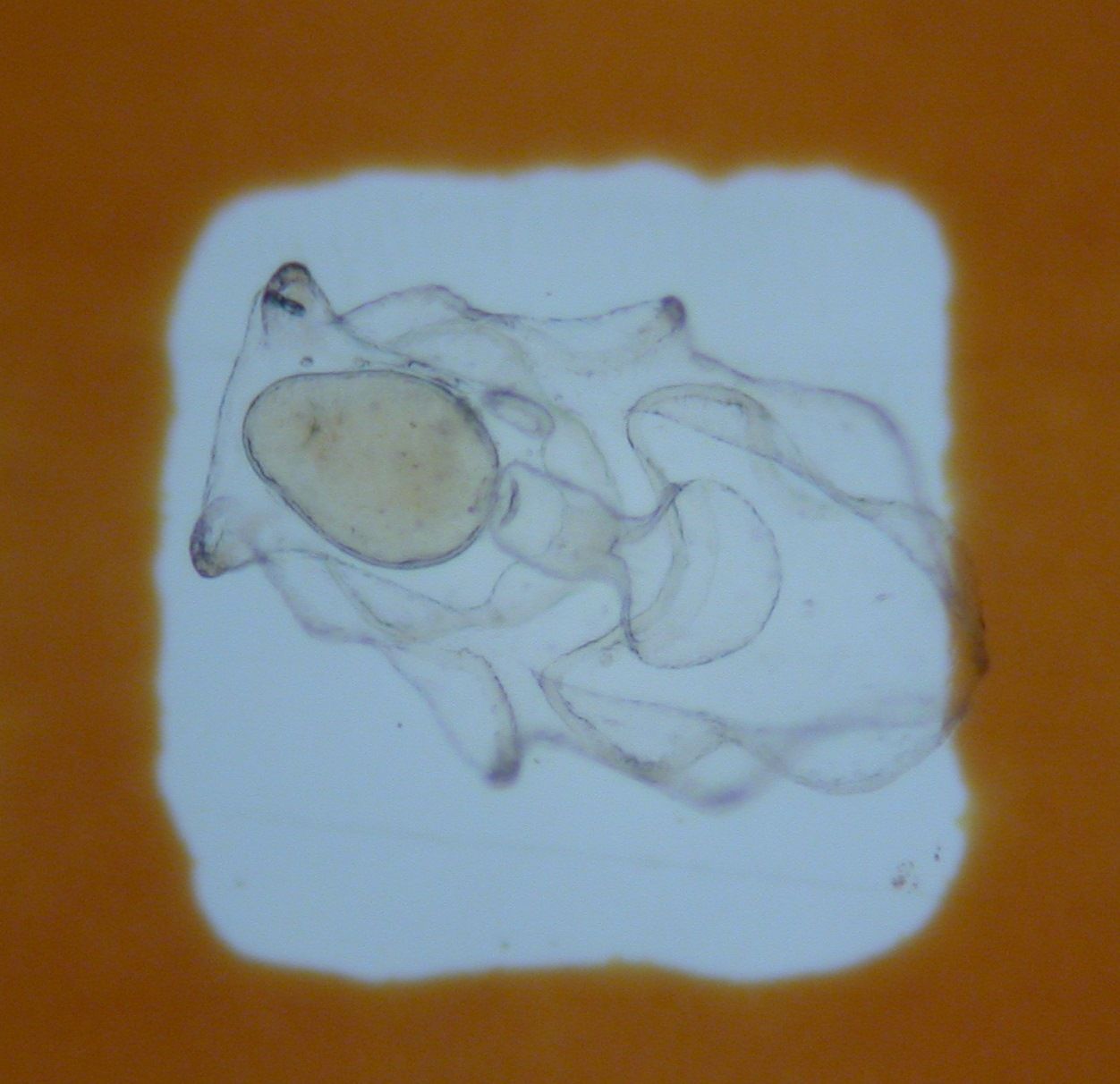 視察研修に行ってきました 後編 ふたみ通信 上浦地区漁業後継者協議会公式ブログ