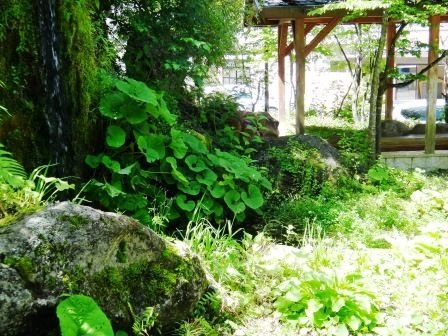 岐阜県 奥飛騨温泉郷 平湯温泉 新平湯温泉 足湯 風露愚 温泉宿と日帰り温泉施設 共同湯巡り 岐阜県 奥飛騨温泉郷 平湯温泉 新平湯温泉 足湯 風露愚 温泉宿と日帰り温泉施設 共同湯巡り