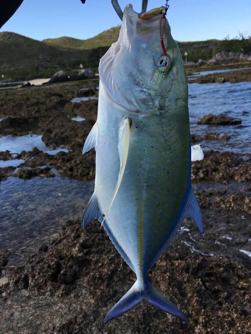 メタルマルでカスミアジ ちゃんゆう Style Fishing 沖縄