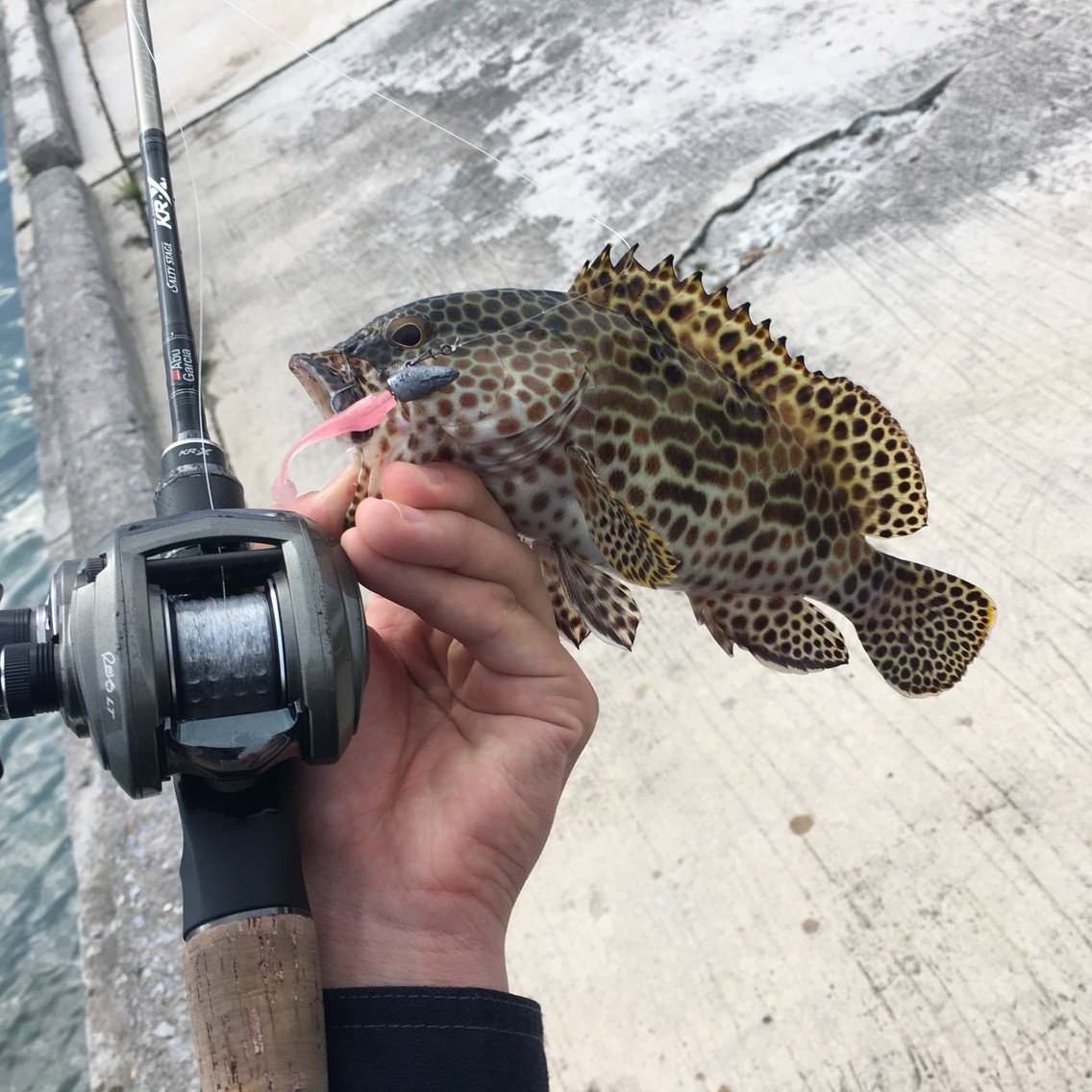 久々にベイトフィネス ちゃんゆう Style Fishing 沖縄 久々にベイトフィネス ちゃんゆう Style Fishing 沖縄