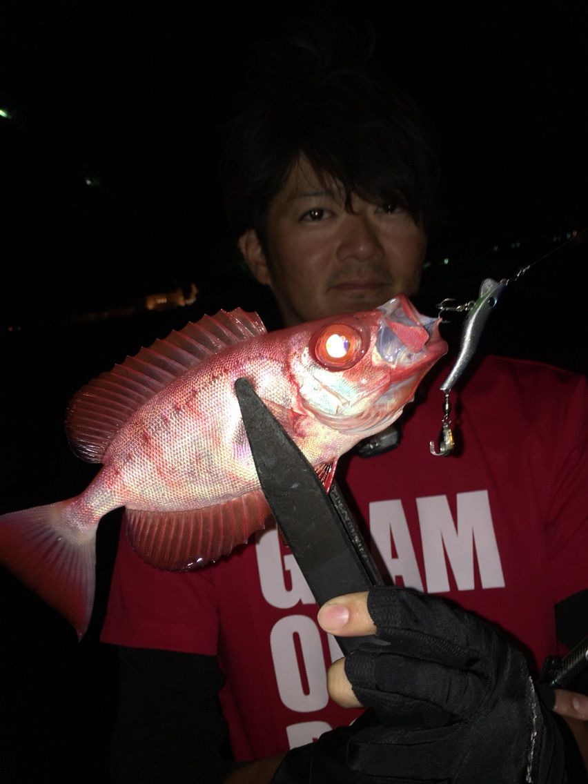 夜メタルマルでカマスとクサラー カミヤマ ライトゲーム 沖縄ルアー釣り プラグ ワーム 五目釣り 夜メタルマルでカマスとクサラー カミヤマ ライトゲーム 沖縄ルアー釣り プラグ ワーム 五目釣り