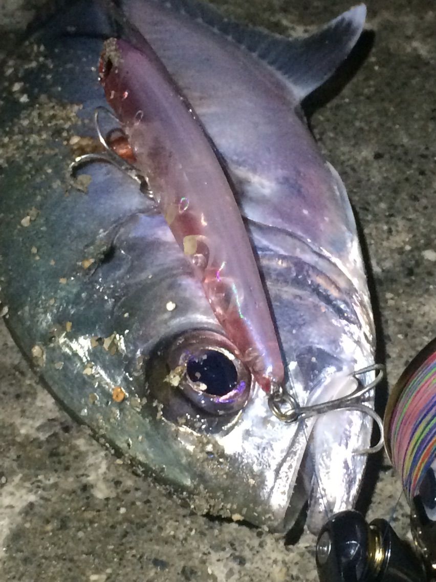 台風前の夜ルアー カミヤマ ライトゲーム 沖縄ルアー釣り プラグ ワーム 五目釣り